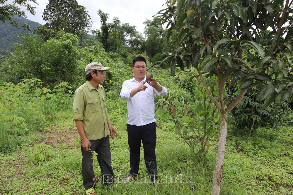 chuyển đổi cây trồng 